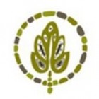 Slate lite Каменный шпон